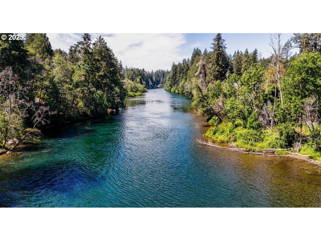 91035 Leashore Drive Vida, OR 97488 - Photo 31 of 34