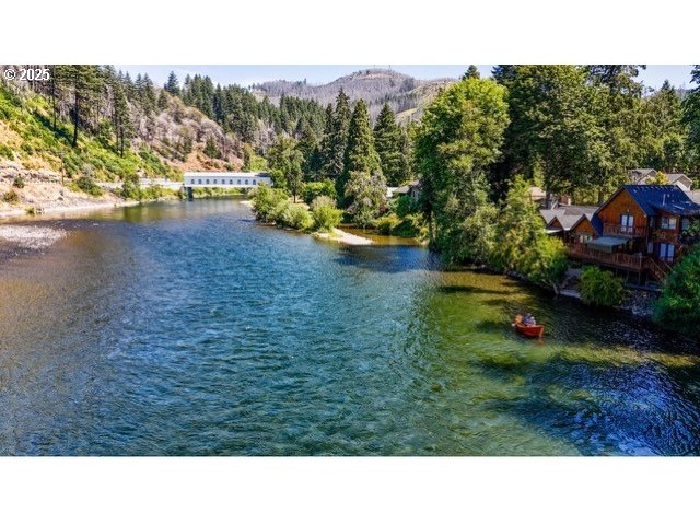 91035 Leashore Drive Vida, OR 97488 - Photo 32 of 34