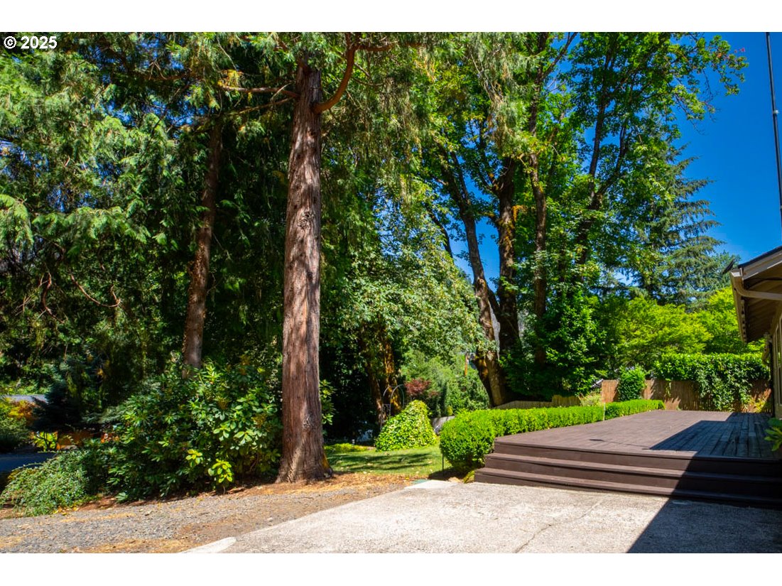 91035 Leashore Drive Vida, OR 97488 - Photo 9 of 34