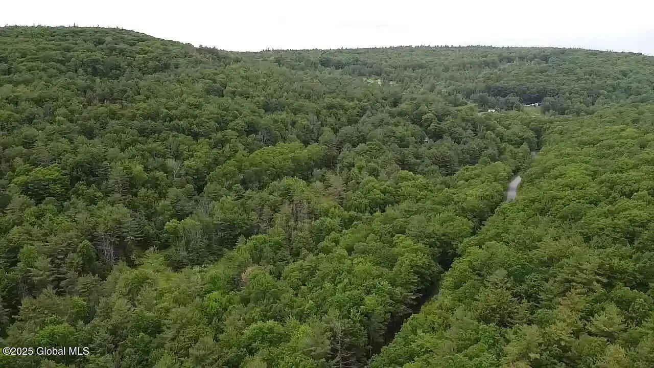 522 Quarry Road Blenheim, NY 12131 - Photo 1 of 4 Land