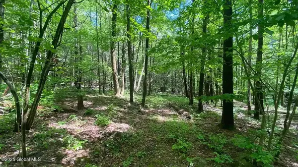 $50,000 | 522 Quarry Road, Blenheim, NY 12131