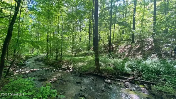 $50,000 | 522 Quarry Road, Blenheim, NY 12131