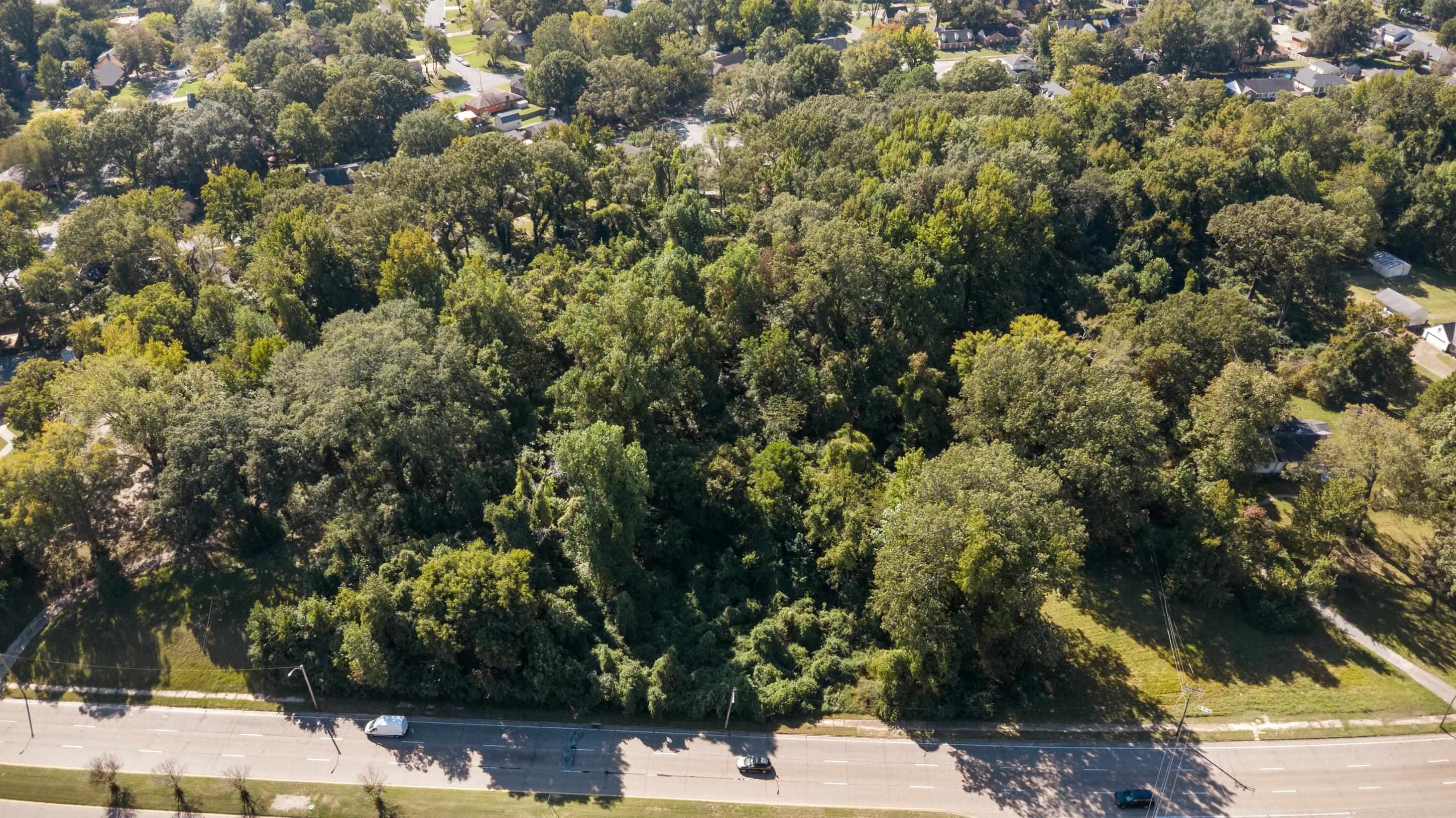 5259 Stage Road Bartlett, TN 38134 - Photo 15 of 15 a view of a yard with plants