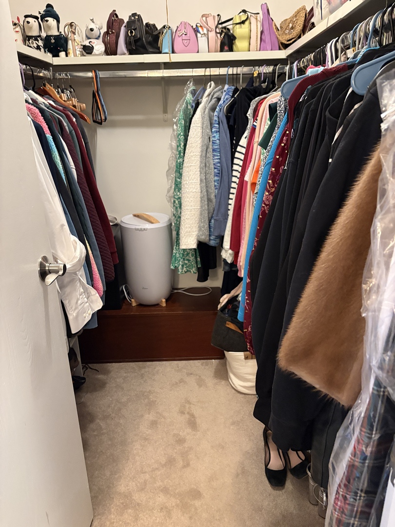 5806 A Wolf Road, Unit 4 Western Springs, IL 60558 - Photo 15 of 22