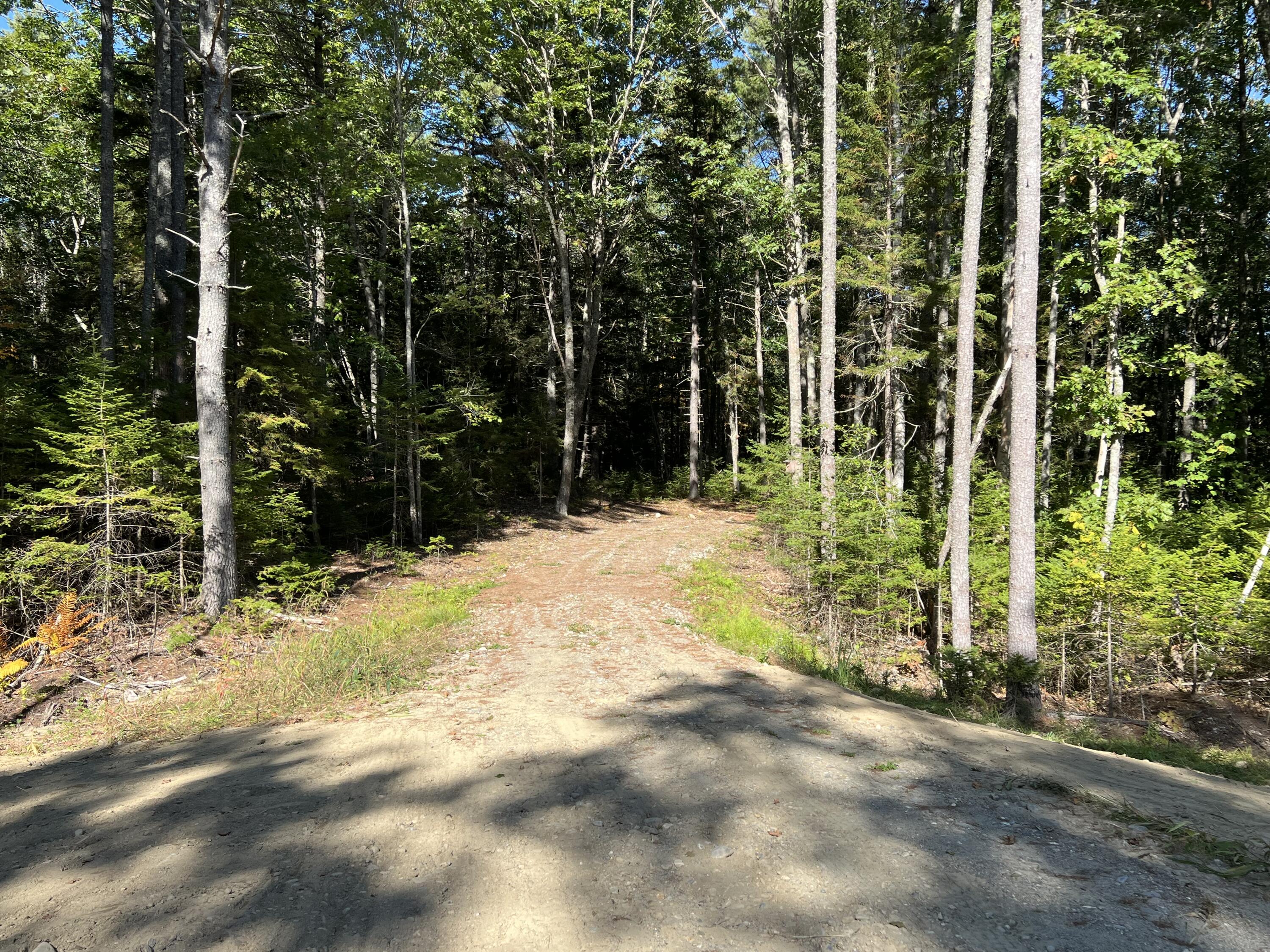 Lot I Blue Rdg Acrs Acres, Unit ACRES Bristol, ME 04539 - Photo 3 of 8 IMG_4107
