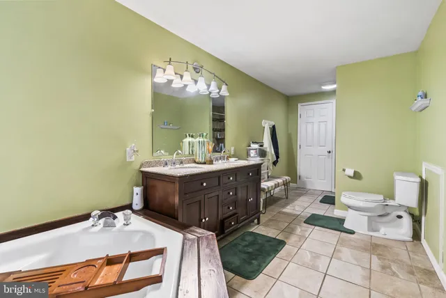 a bathroom with a sink mirror and toilet