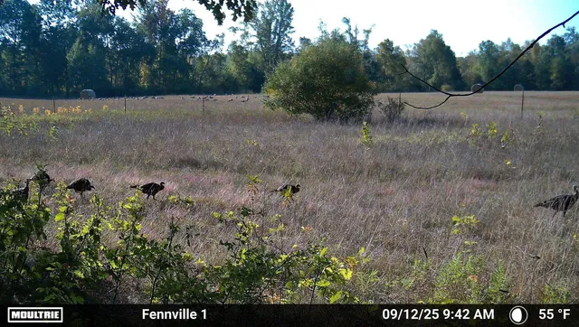 $129,900 | Vl 45th Avenue, Barryton, MI 49305