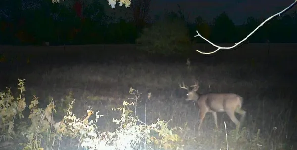 $110,000 | Vl 45th Avenue, Barryton, MI 49305