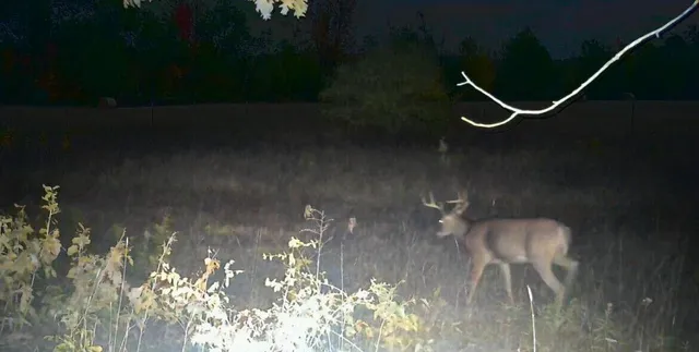 $129,900 | Vl 45th Avenue, Barryton, MI 49305