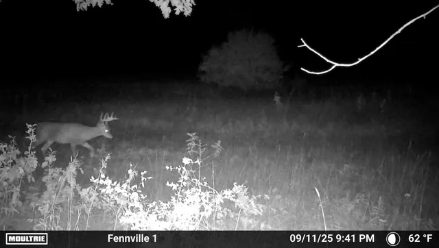 $129,900 | Vl 45th Avenue, Barryton, MI 49305