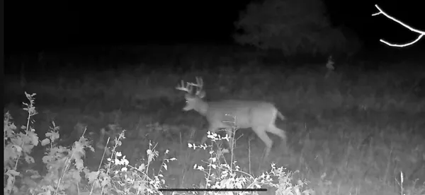 $110,000 | Vl 45th Avenue, Barryton, MI 49305