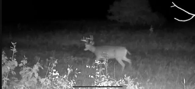 $129,900 | Vl 45th Avenue, Barryton, MI 49305