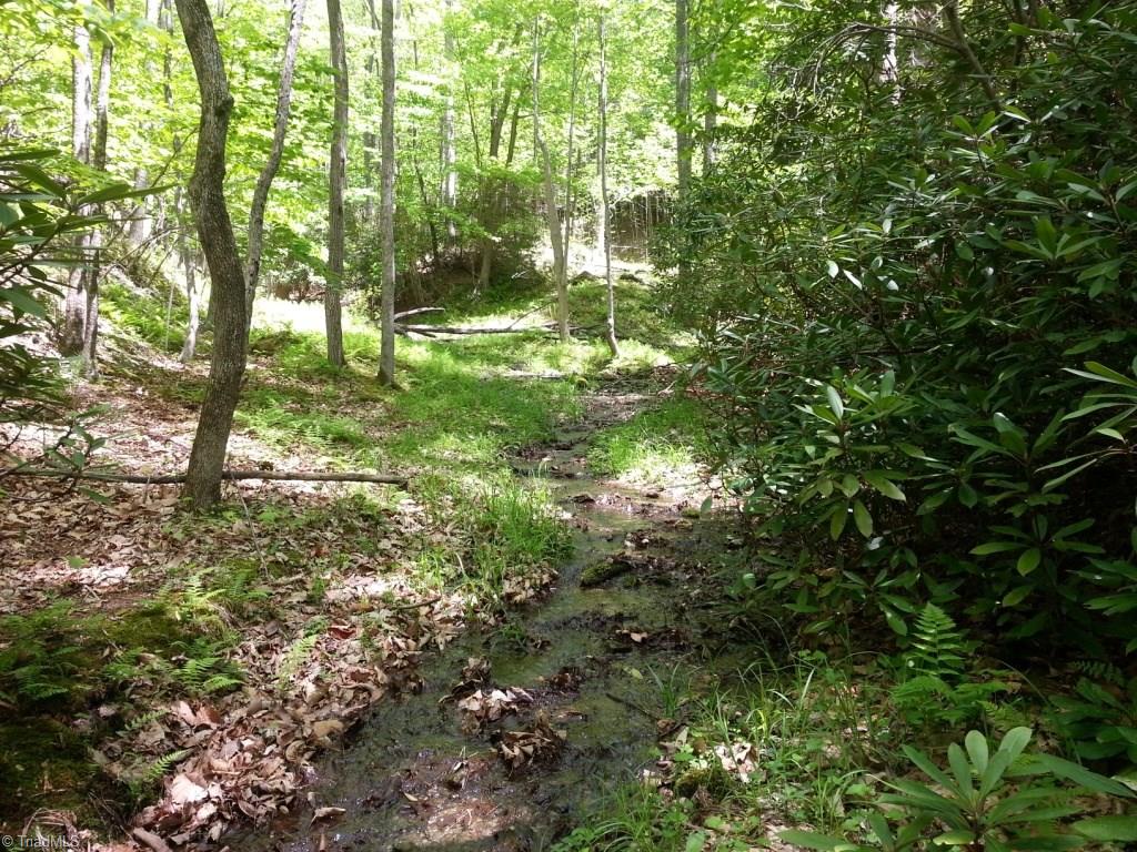 0 Dobyns Road Stuart, VA 24171 - Photo 1 of 7
