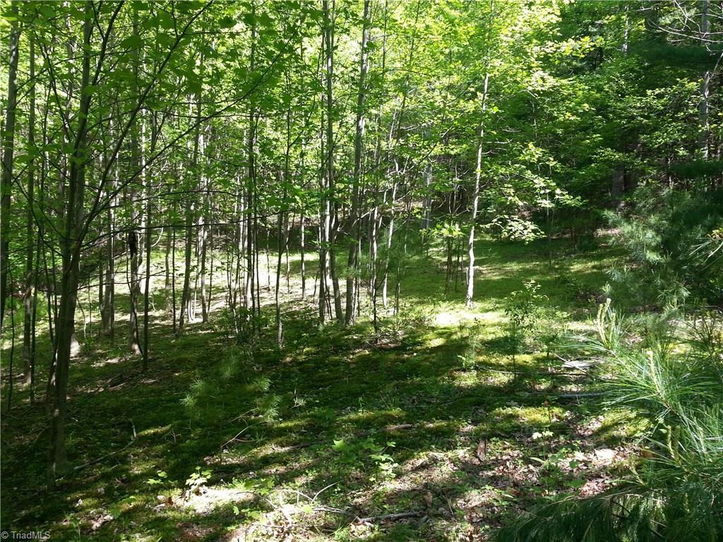 0 Dobyns Road Stuart, VA 24171 - Photo 2 of 7