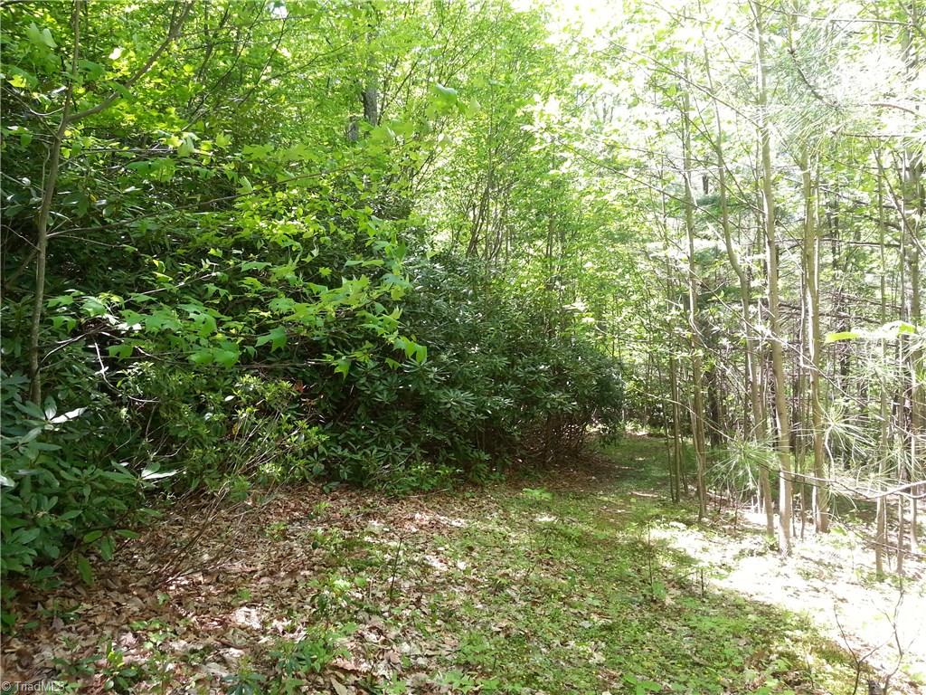 0 Dobyns Road Stuart, VA 24171 - Photo 4 of 7