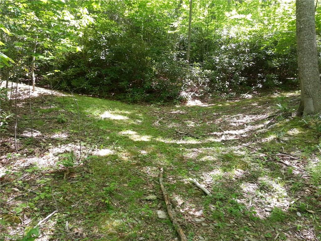 0 Dobyns Road Stuart, VA 24171 - Photo 6 of 7
