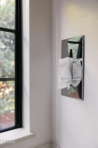 a view of a yard with plants and large trees