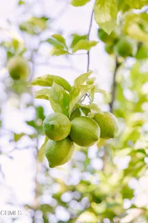 $1,995,000 | 136 South Arden Boulevard, Los Angeles, CA 90004