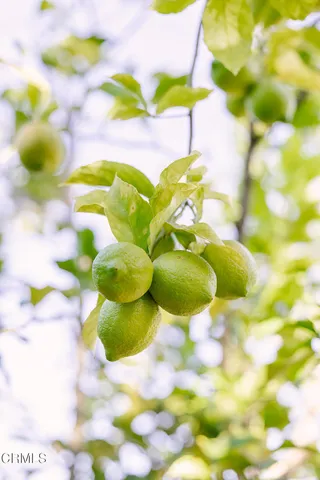 $1,995,000 | 136 South Arden Boulevard, Los Angeles, CA 90004