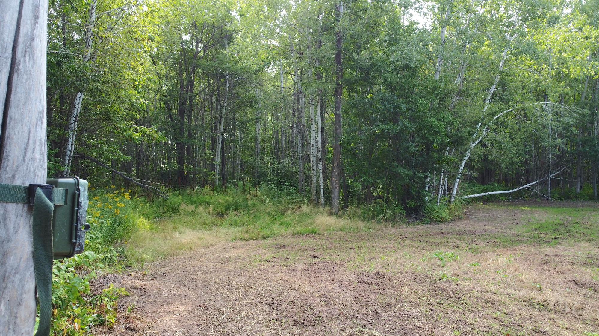 60240 Stuart Road Mason, WI 54856 - Photo 72 of 99 Gallery Image 72