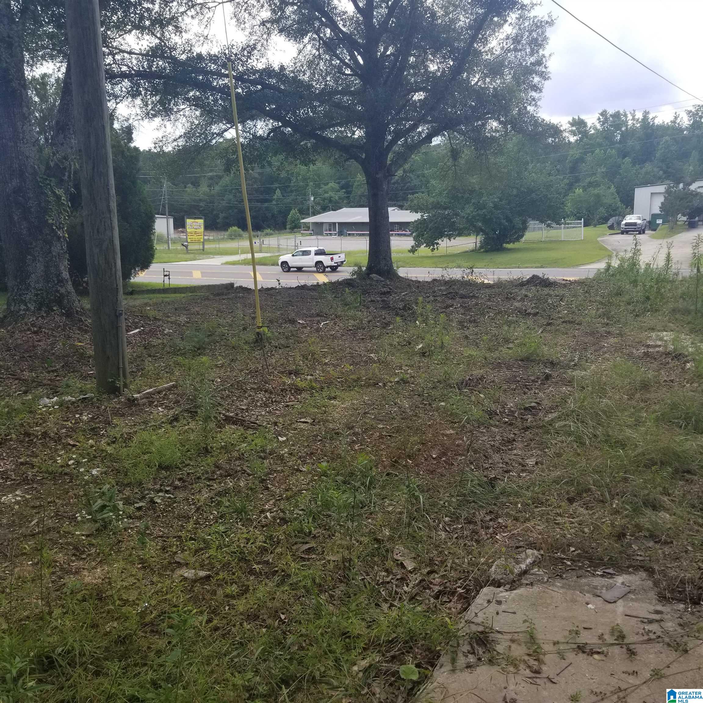 11284 Us Highway Riverside, AL 35135 - Photo 1 of 20