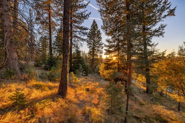 $335,000 | 1670 Majestic View Drive, Unit 33, McCall, ID 83638