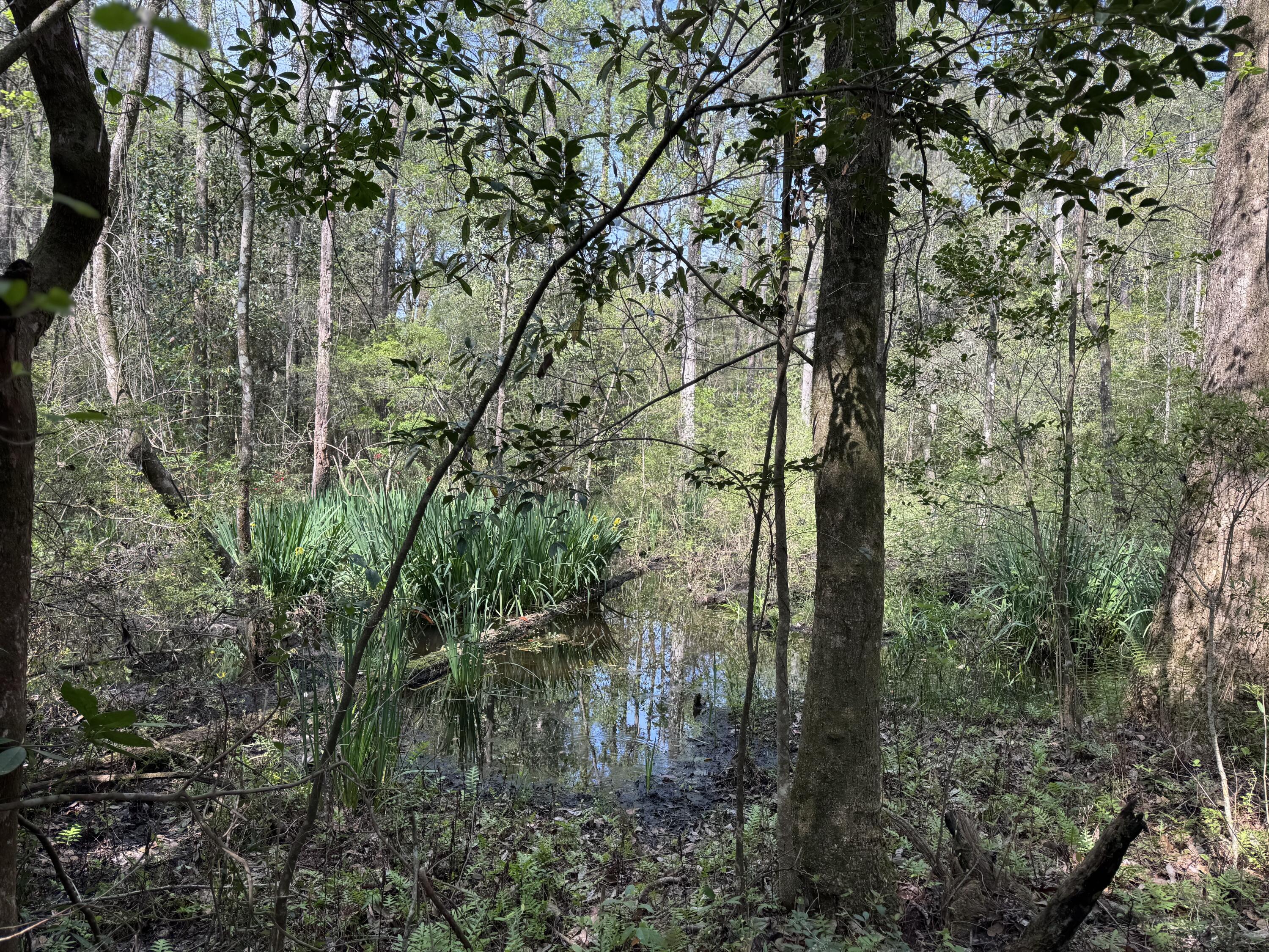 190 Meadowbrook Lane DeFuniak Springs, FL 32435 - Photo 66 of 68 IMG_6410