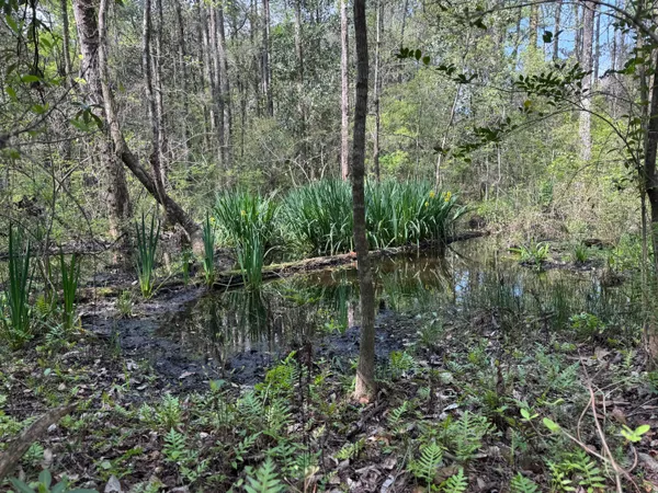 $475,000 | 190 Meadowbrook Lane, DeFuniak Springs, FL 32435