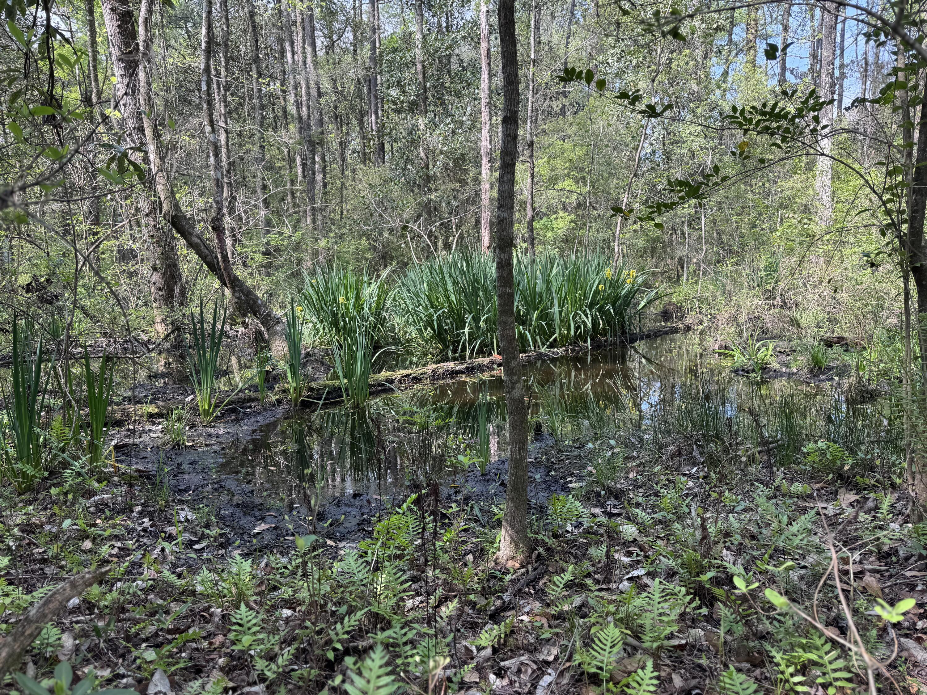 190 Meadowbrook Lane DeFuniak Springs, FL 32435 - Photo 67 of 68 IMG_6411