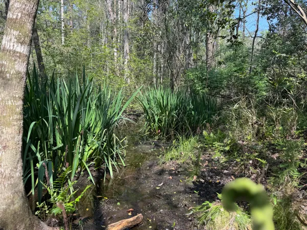 $475,000 | 190 Meadowbrook Lane, DeFuniak Springs, FL 32435