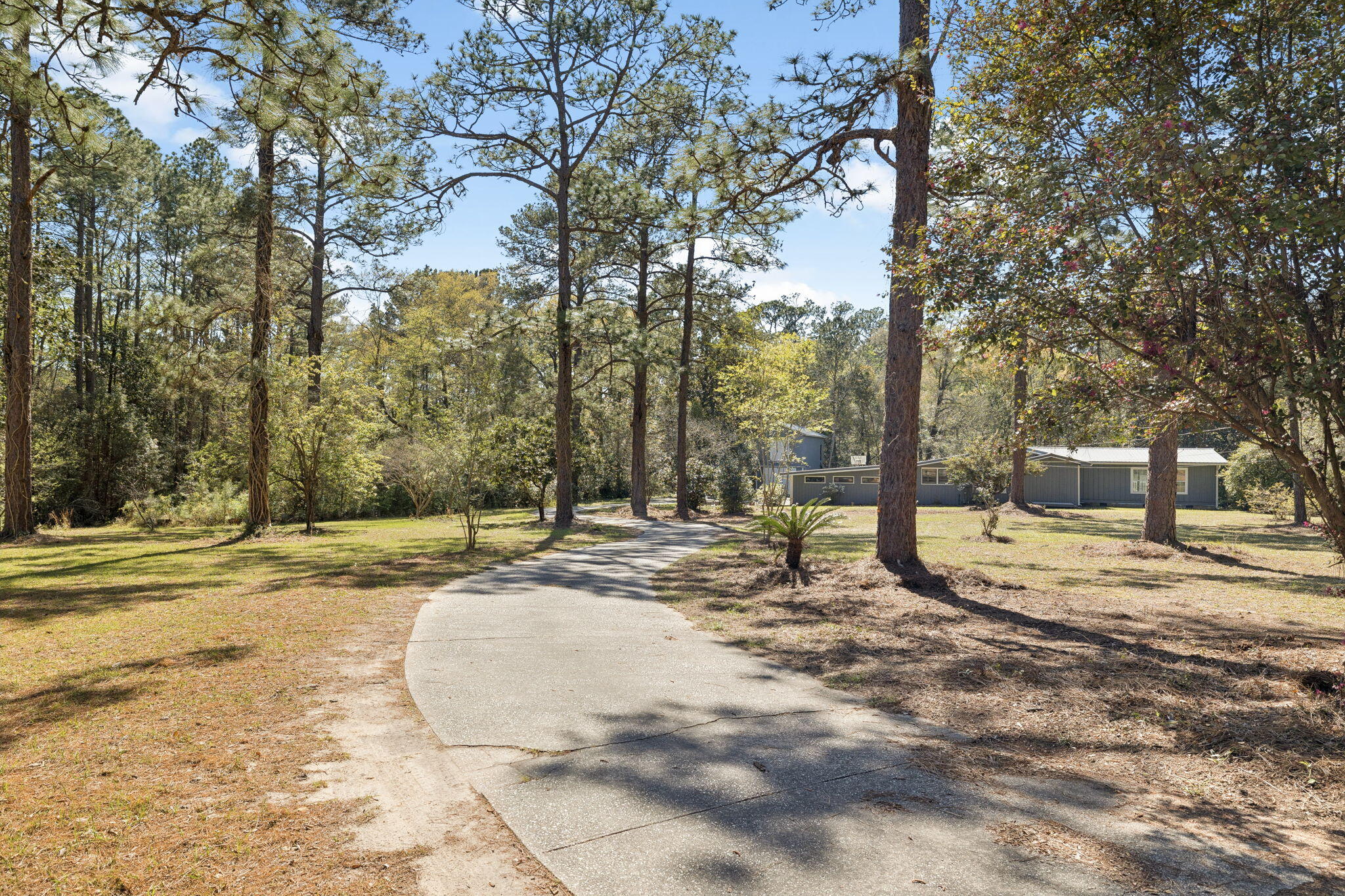 190 Meadowbrook Lane DeFuniak Springs, FL 32435 - Photo 9 of 68 4