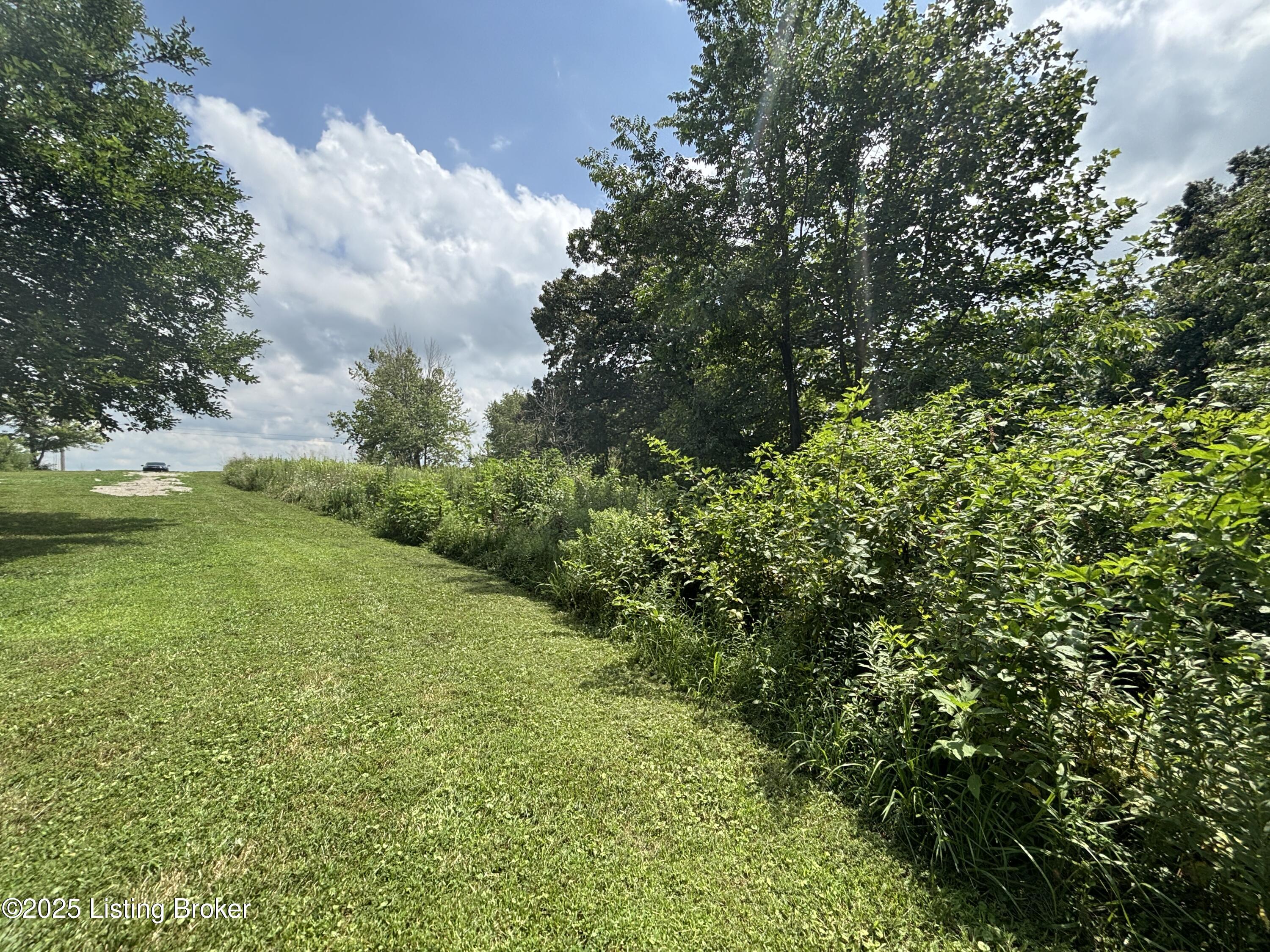 2565 Rabbitt Run Road Vine Grove, KY 40175 - Photo 11 of 11 IMG_3997