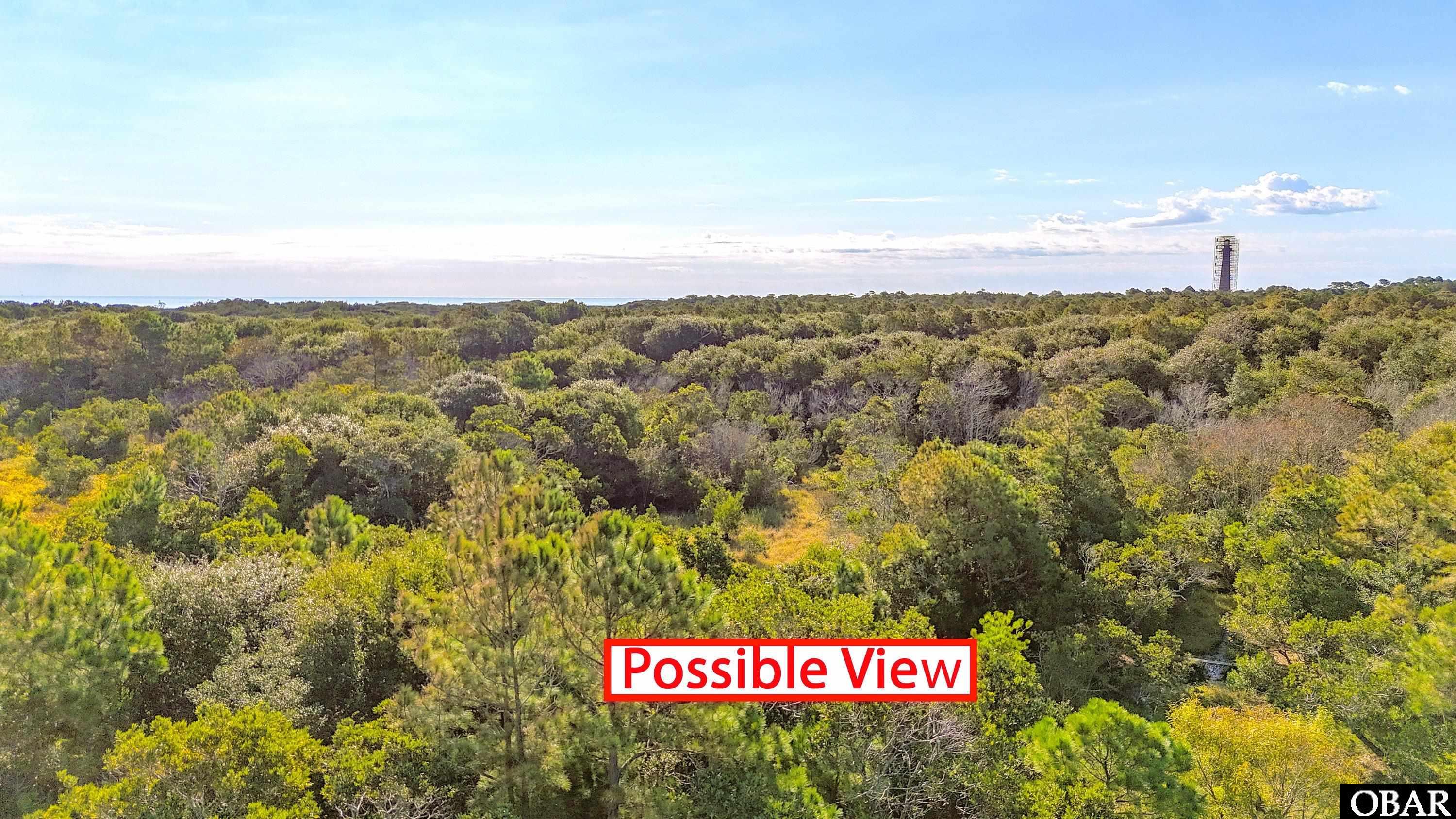 46207 Flowers Ridge Road Buxton, NC 27920 - Photo 4 of 4