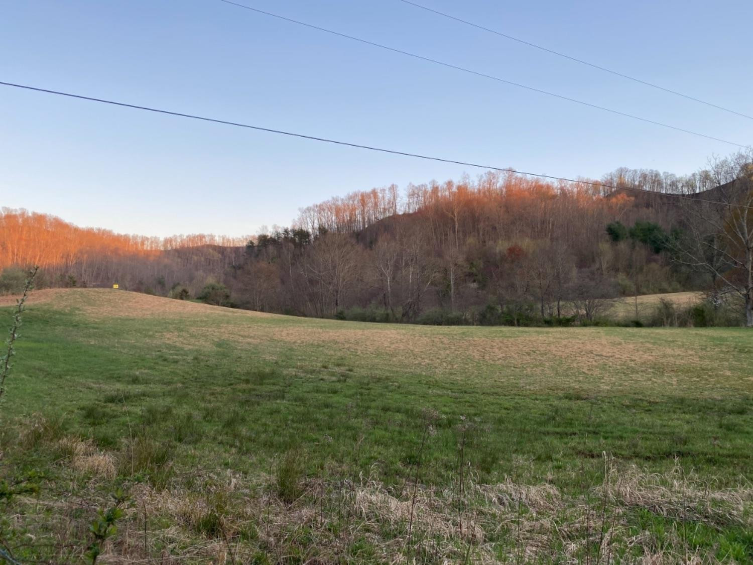 1111 Powell Branch Road Bimble, KY 40915 - Photo 8 of 19 Photo 8