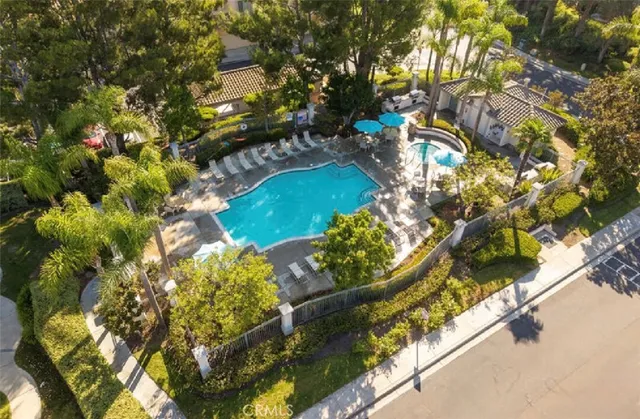a view of a yard with plants