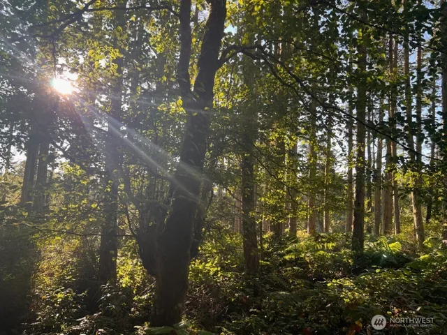 a map view of location