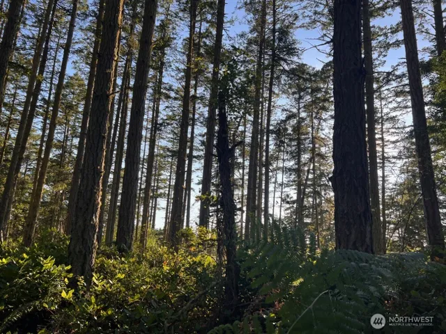 a view of outdoor space and garden