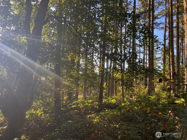 $109,000 | 3-lot Pavey Boulevard, Lopez Island, WA 98261