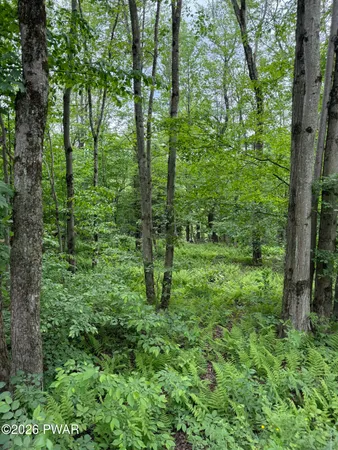 $299,000 | Beaver Hollow Road, Lakewood, PA 18439