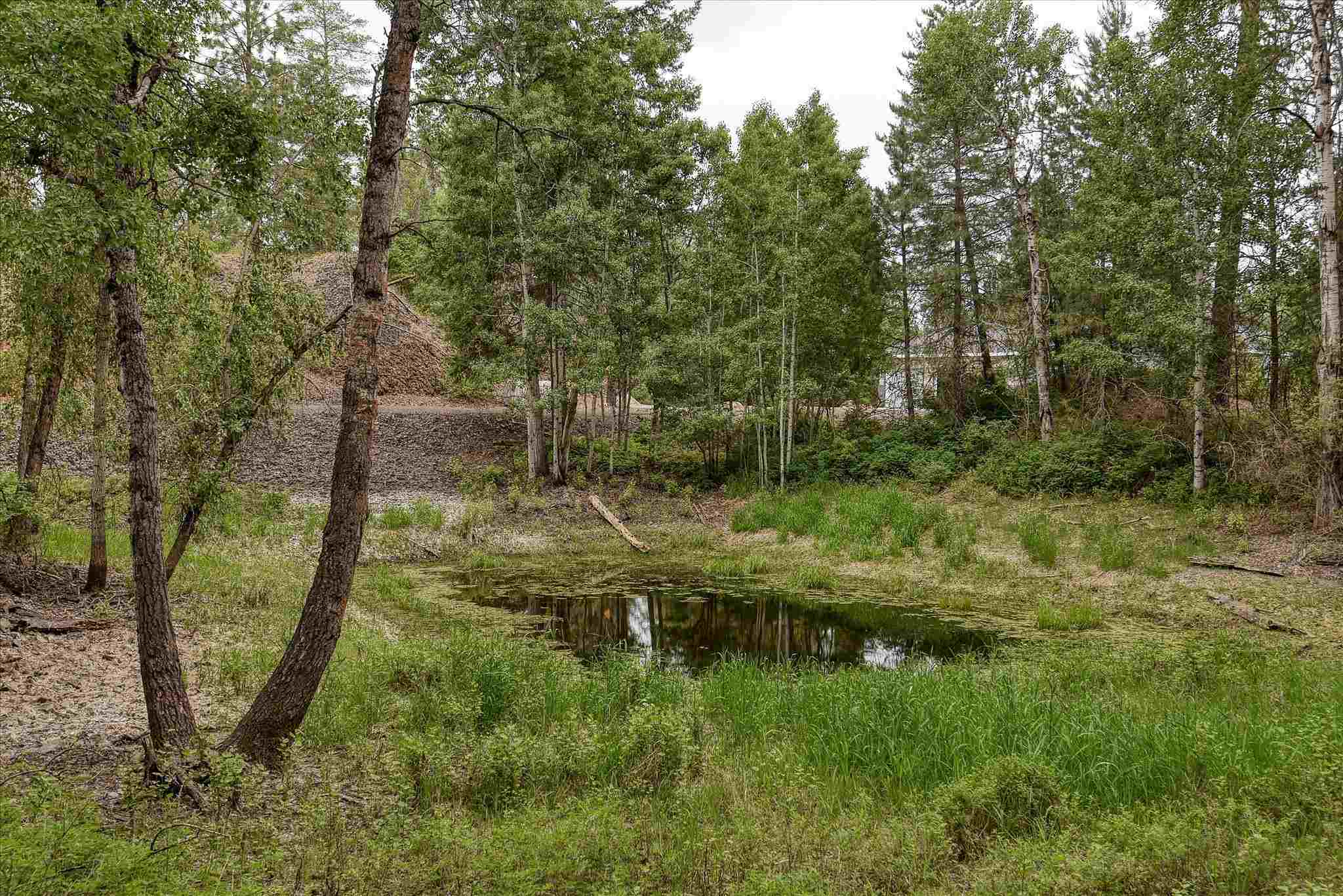 23118 North Crescent Road Colbert, WA 99005 - Photo 40 of 50