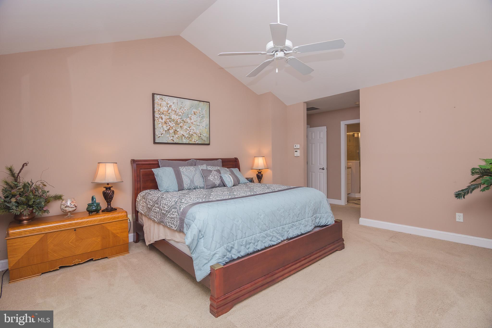 10172 Rabbit Ridge Lane Bishopville, MD 21813 - Photo 42 of 92 Gallery Image 42