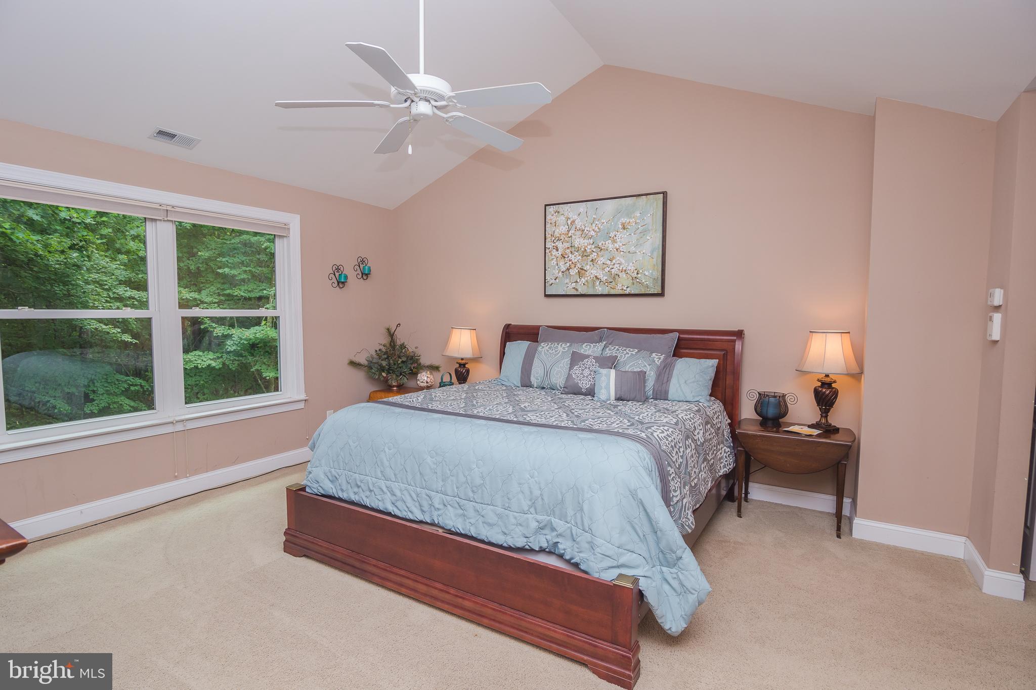 10172 Rabbit Ridge Lane Bishopville, MD 21813 - Photo 8 of 92 Gallery Image 8