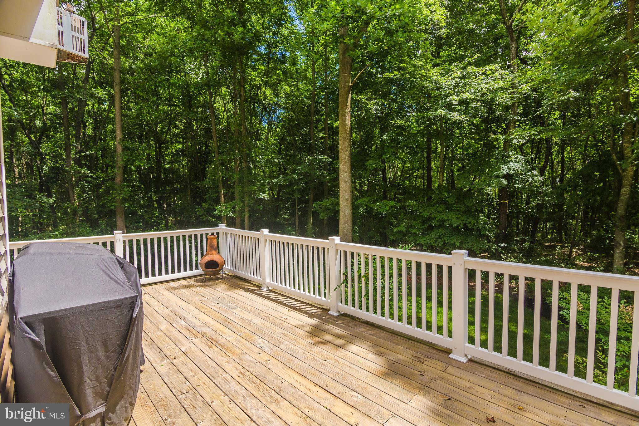 10172 Rabbit Ridge Lane Bishopville, MD 21813 - Photo 86 of 92 Gallery Image 86