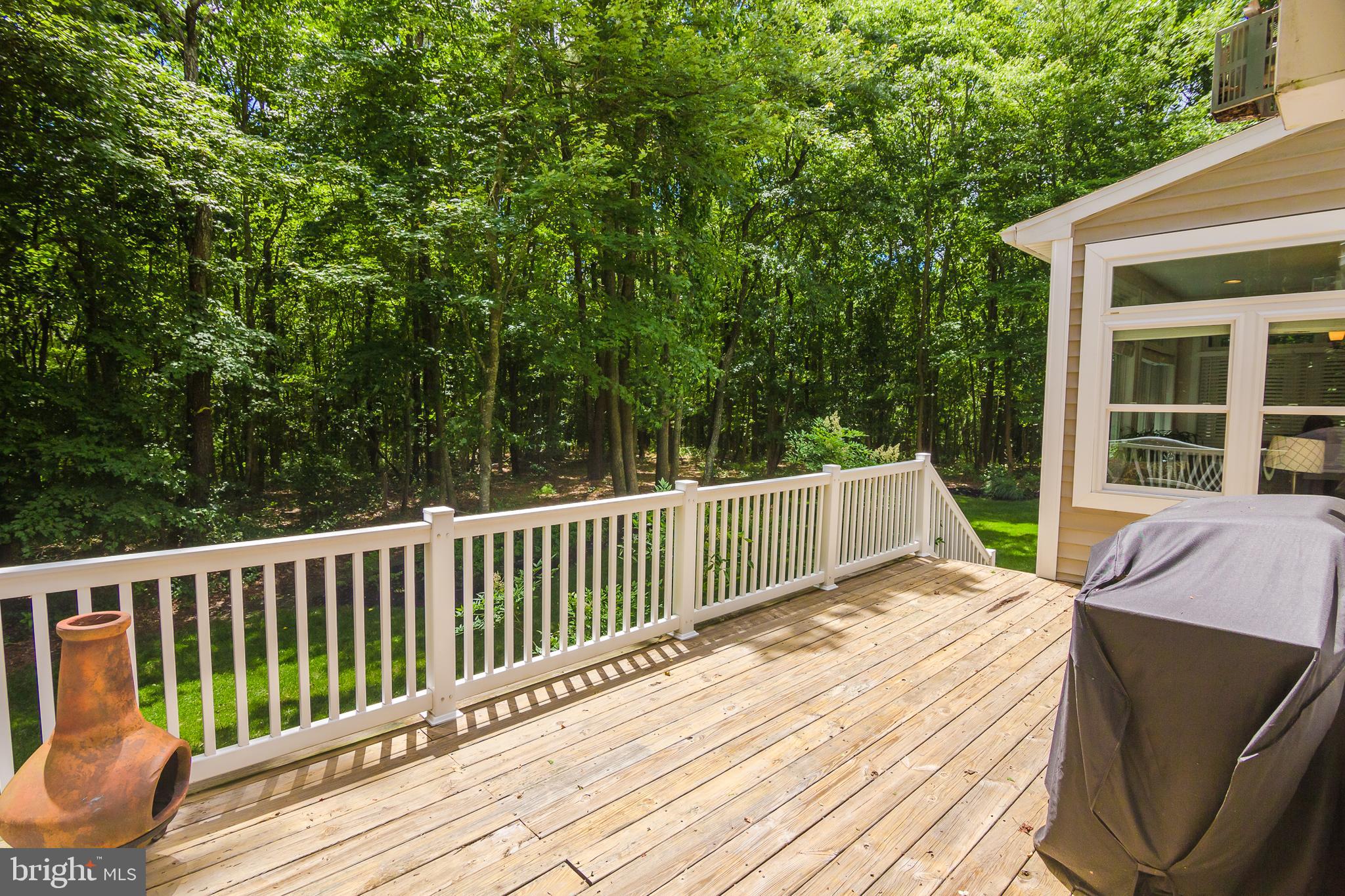 10172 Rabbit Ridge Lane Bishopville, MD 21813 - Photo 87 of 92 Gallery Image 87