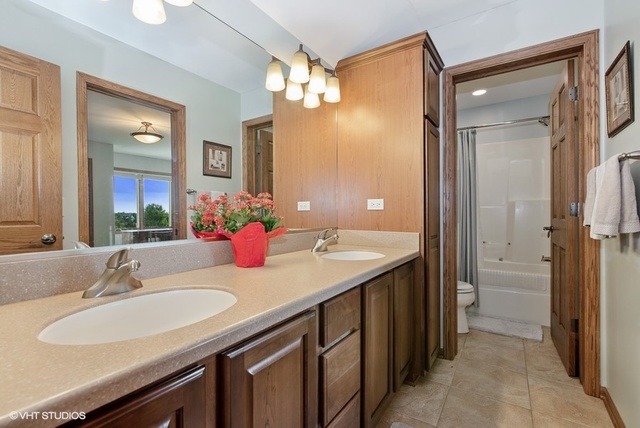 3812 Redwood Court Spring Grove, IL 60071 - Photo 23 of 37 a bathroom with a granite countertop sink and a mirror