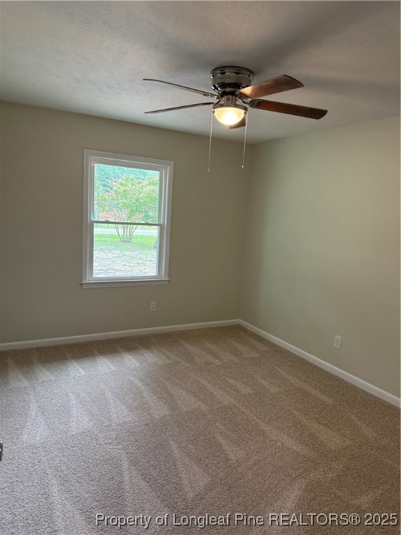 4427 Dunn Road Eastover, NC 28312 - Photo 11 of 22 Gallery Image 11