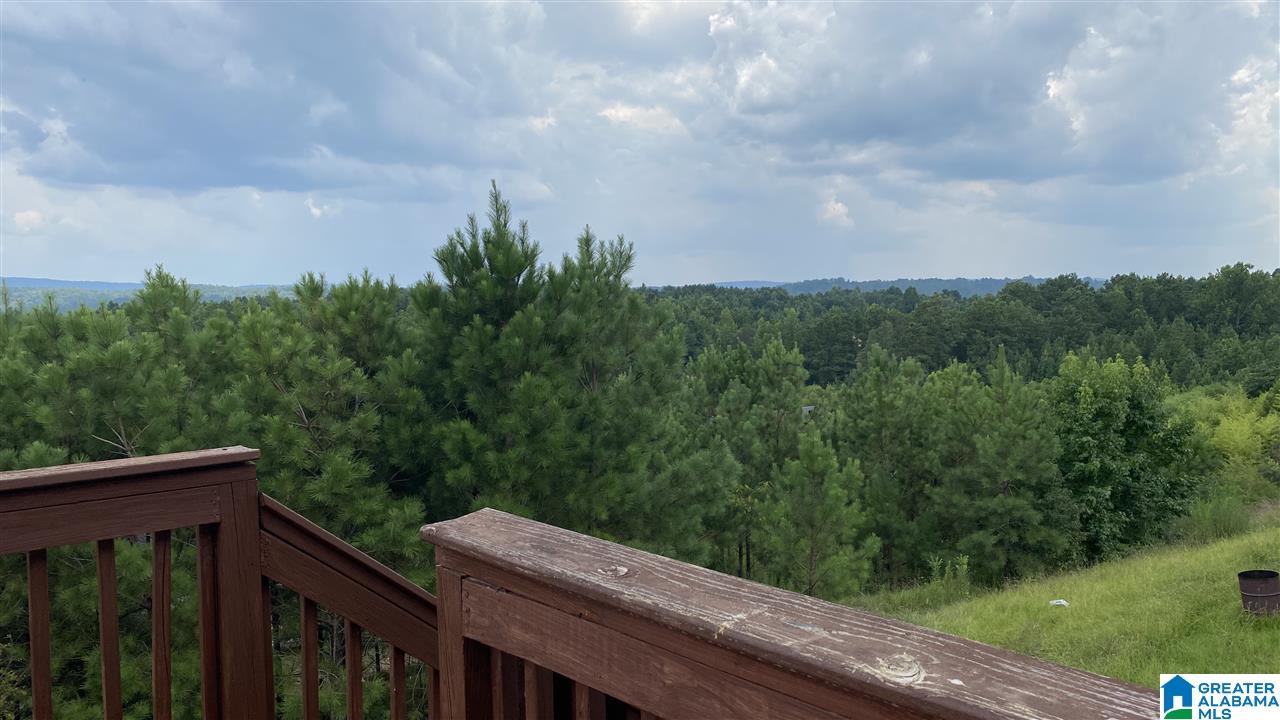 260 Dust Ridge Road Moody, AL 35004 - Photo 22 of 22