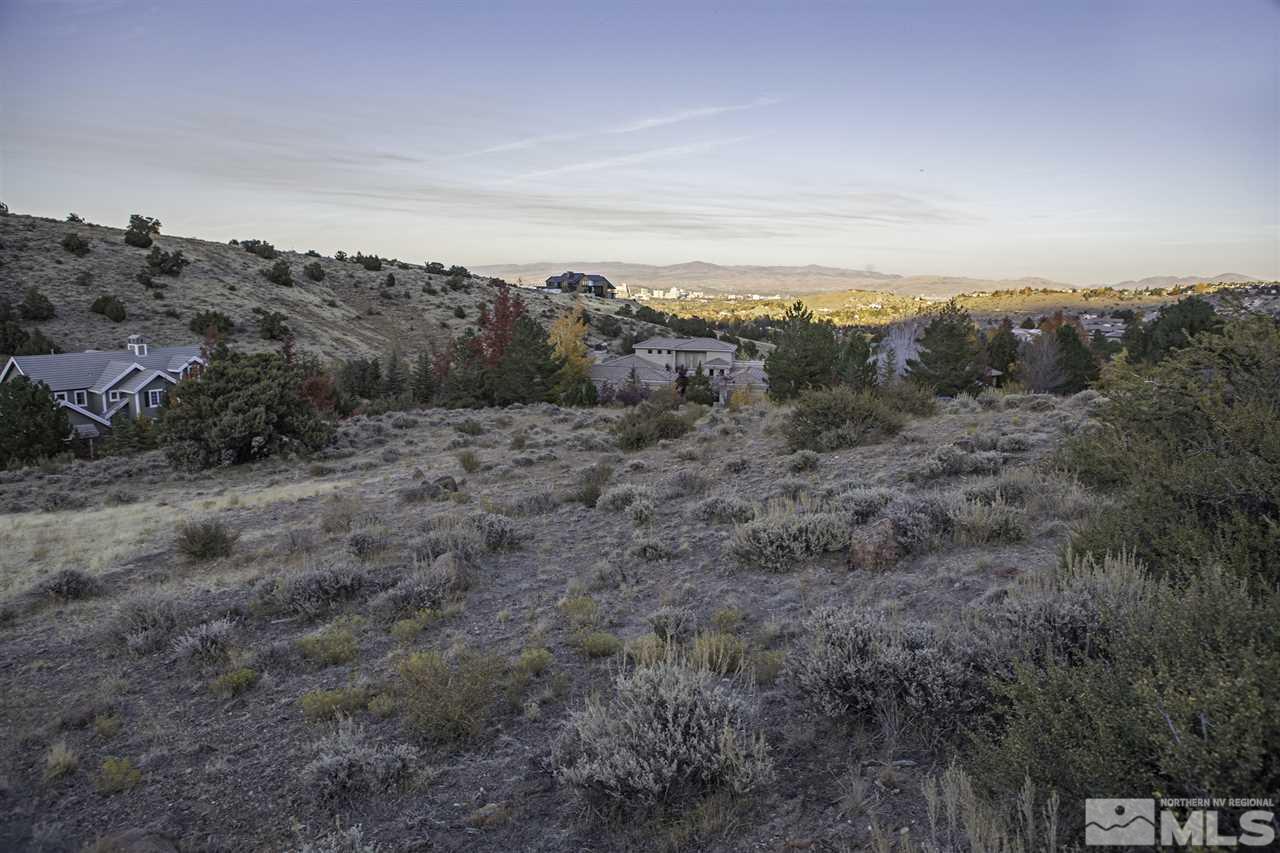 4445 Sharps Road, Unit 719 Reno, NV 89519 - Photo 4 of 5 a view of a city with lush green forest