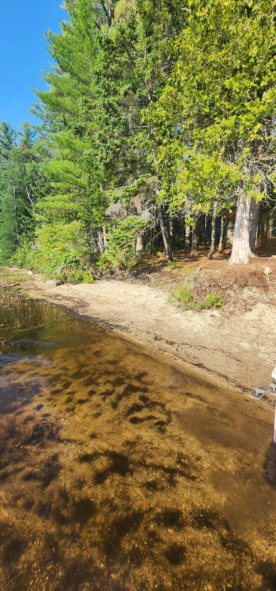 6 Wilderness Way Wesley, ME 04686 - Photo 2 of 26