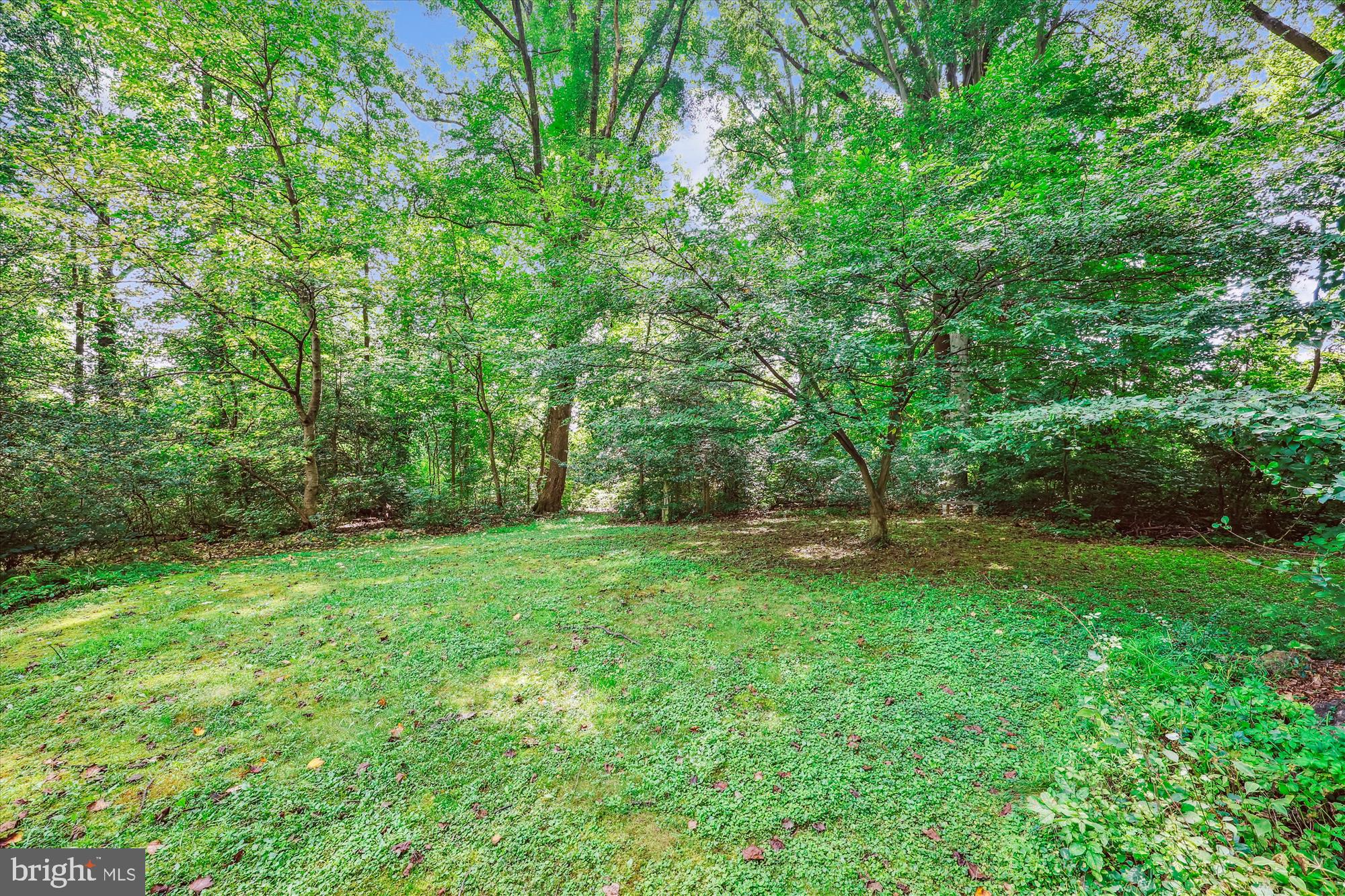 111 Ednor Road Silver Spring, MD 20905 - Photo 6 of 36 a view of a lush green space